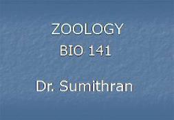 GENERAL ZOOLOGY PowerPoint Presentation