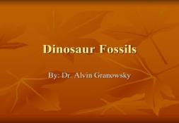 Dinosaur Fossils PowerPoint Presentation