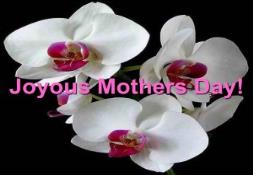 Joyous Mothers Day PowerPoint Presentation