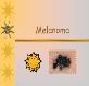Overview of Melanoma Powerpoint Presentation