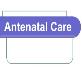About Antenatal Cares Powerpoint Presentation