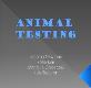 Testing of Animal Powerpoint Presentation