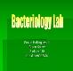 The Study of Bacteria Powerpoint Presentation