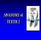 Dental Anatomy Powerpoint Presentation
