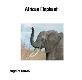 An African Elephant Powerpoint Presentation