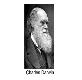 Charles Darwin Brigham Young University Powerpoint Presentation