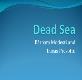 Dead Sea Programa de Linguas Estrangeiras Powerpoint Presentation