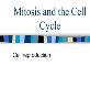 Mitosis and the Cell Cycle Powerpoint Presentation