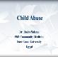Child abuse in Pittsburgh Powerpoint Presentation