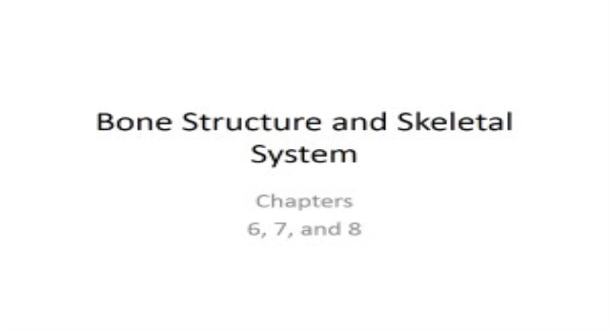 Free Download Bone Structure and Skeletal System PowerPoint ...