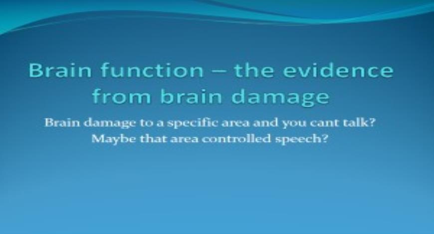 Free Download Brain function PowerPoint Presentation Slides