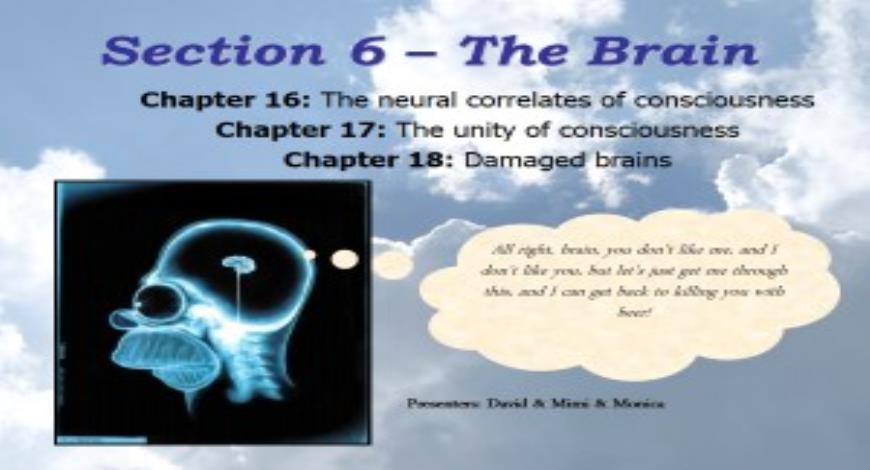 Free Download The Brain PowerPoint Presentation Slides