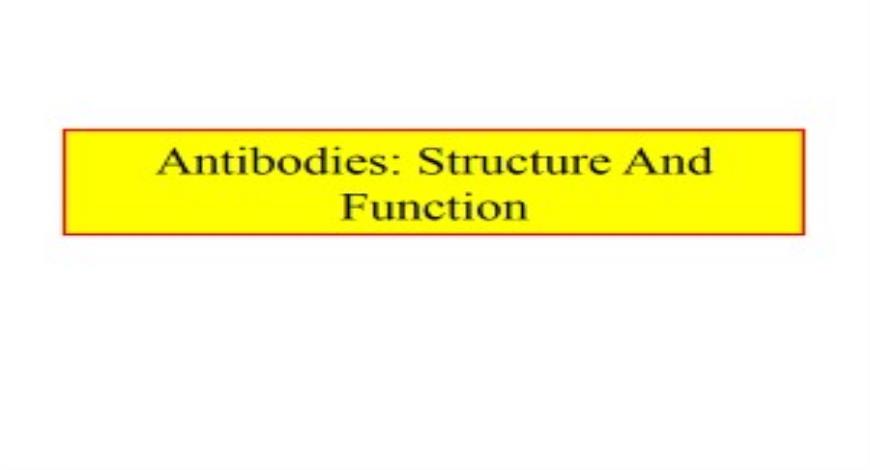 Free Download Antibodies-Structure and Function PowerPoint Presentation ...