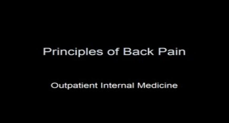 Free Download Principles of Back Pain PowerPoint Presentation Slides