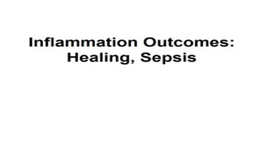 Free Download Inflammation and Healing PowerPoint Presentation Slides