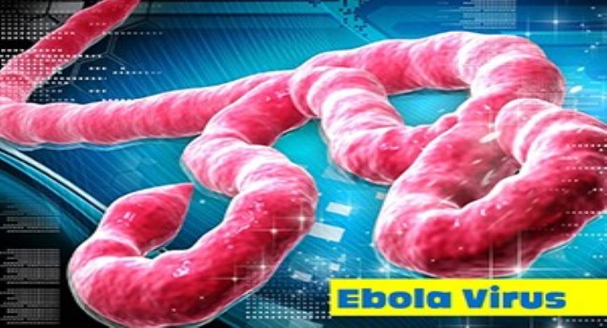Free Download Ebola Virus Disease (EVD) Ppt Presentation