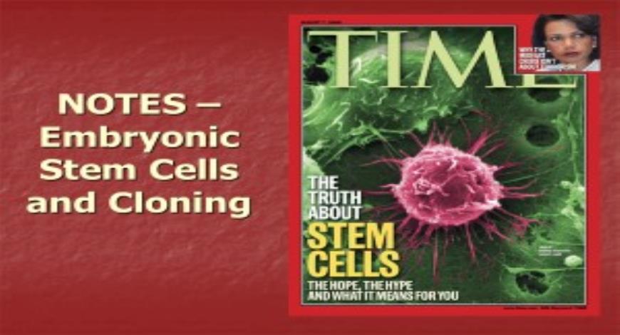 Free Download Embryonic Stem Cells and Cloning PowerPoint Presentation ...