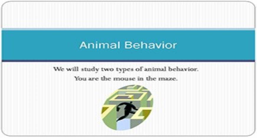 Free Download Animal Behaviour PowerPoint Presentation Slides Free Download