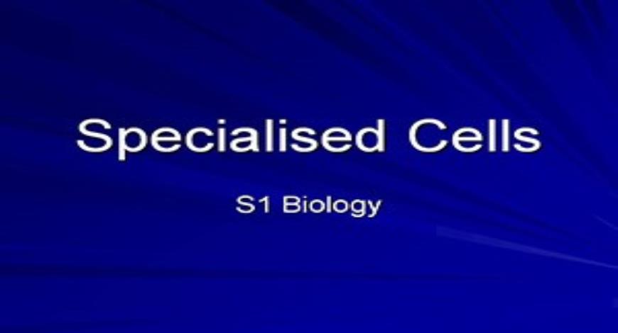Free Download Specialised Cells PowerPoint Presentation Slides Free ...