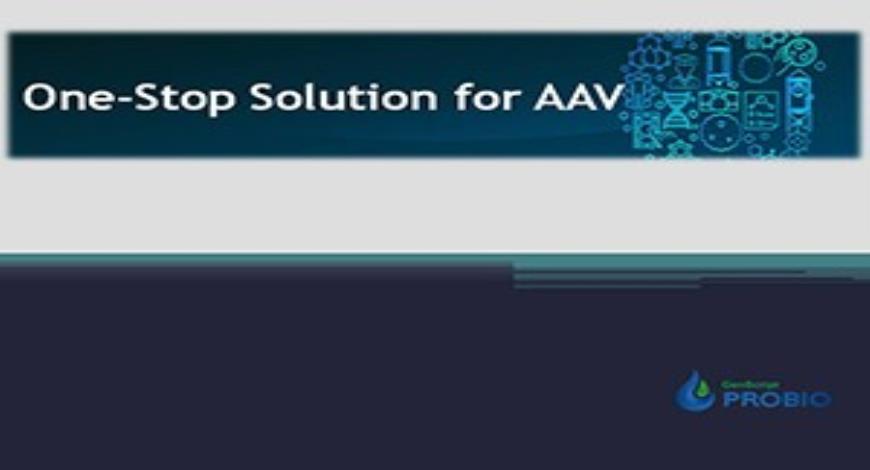 Free Download One-Stop Solution for AAV PowerPoint Presentation ...